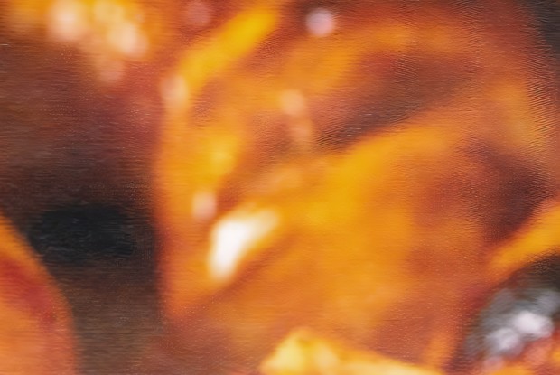 Куриные ножки в медово-лимонной глазури