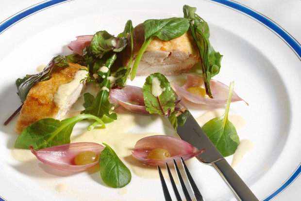 Куриный рулет с маринованным луком и виноградом