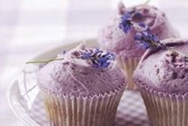 Лавандовые капкейки