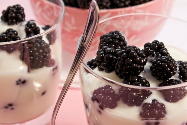 Легкий йогуртовый десерт с медом и ежевикой