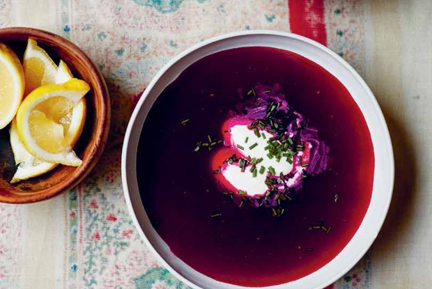 Летний борщ со сметаной и зеленым луком