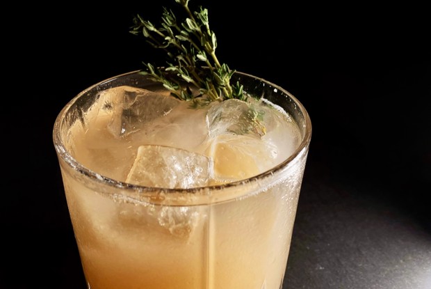 Лимонад из крыжовника