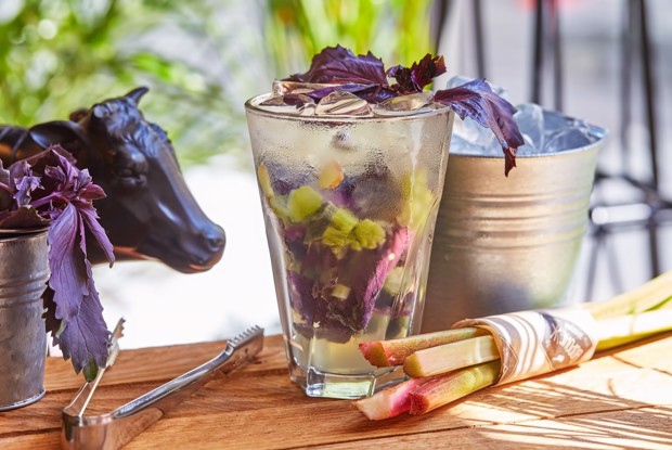 Лимонад из ревеня и базилика