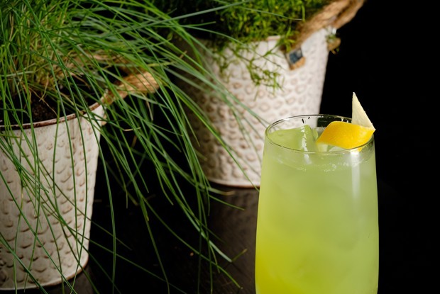 Лимонад с зеленым горошком