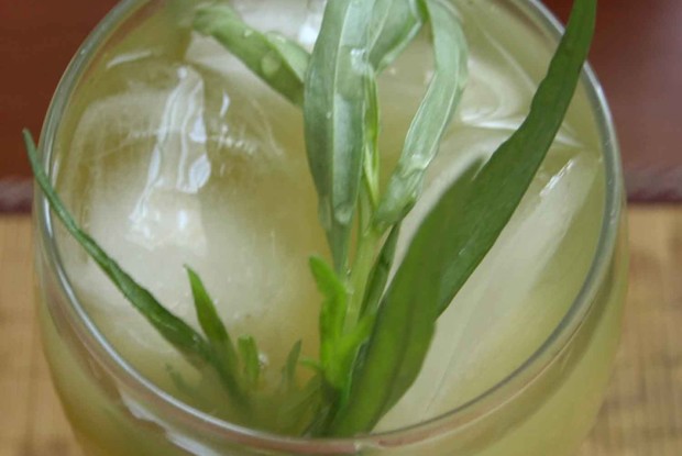 Лимонад «Тархун»