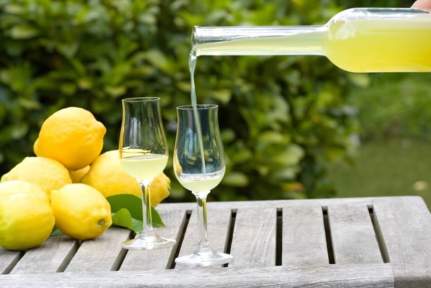 Лимончелло (лимонный ликёр)