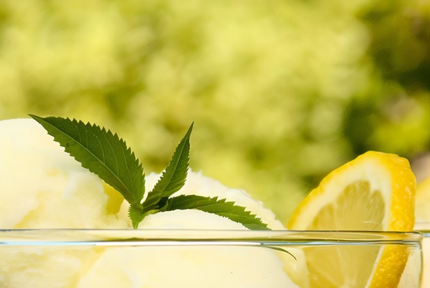 Лимонный шербет