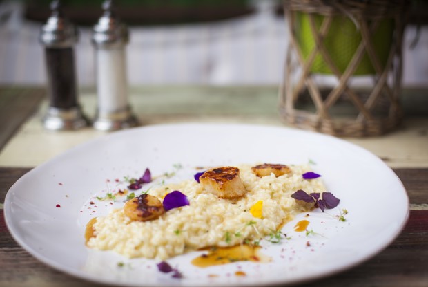 Лимонное ризотто с гребешками из ресторана Christian