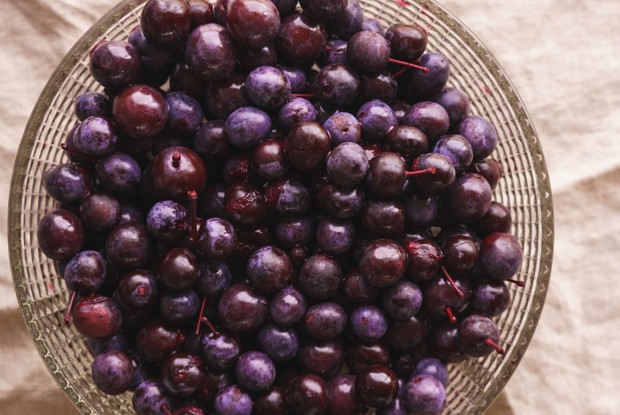 Липецкие маслины