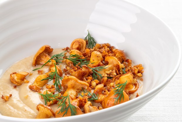 Лисички и картофельный крем