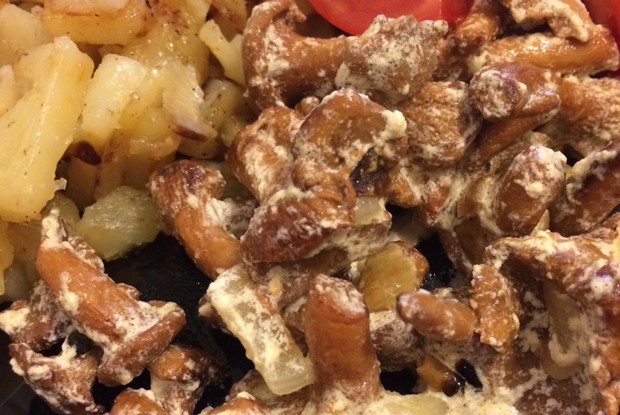 Лисички, тушеные в сметане