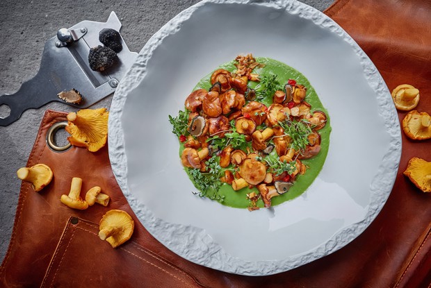 Лисички в сметанно-луковом соусе