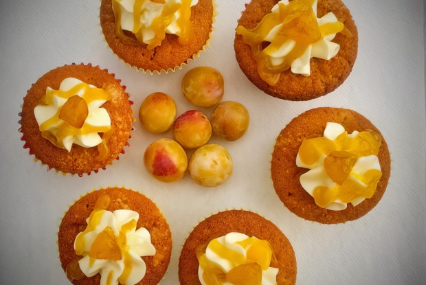 Маффины со сливами