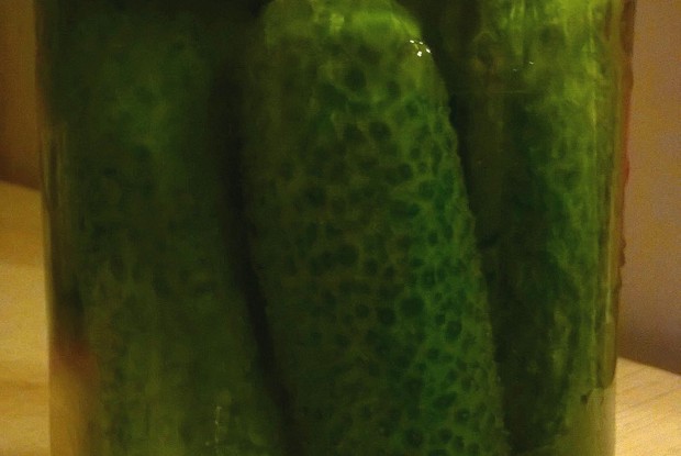 Малосольные огурцы холодной засолки