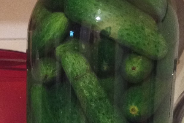 Малосольные огурцы с лавровым листом и укропом