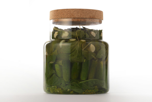 Малосольные огурцы