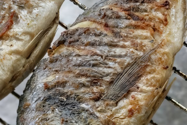 Маринованная дорада на гриле