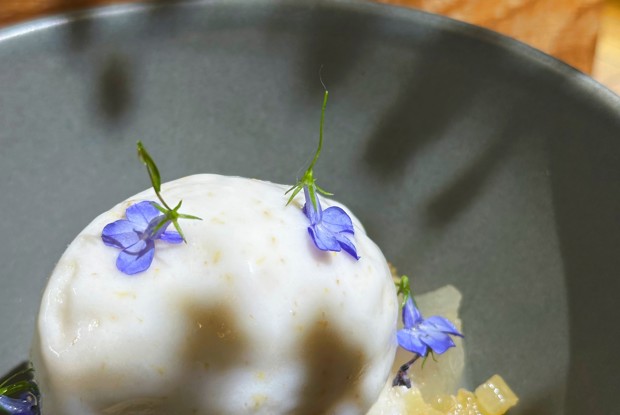 Маринованная дыня с мороженым из дыни с ромашкой