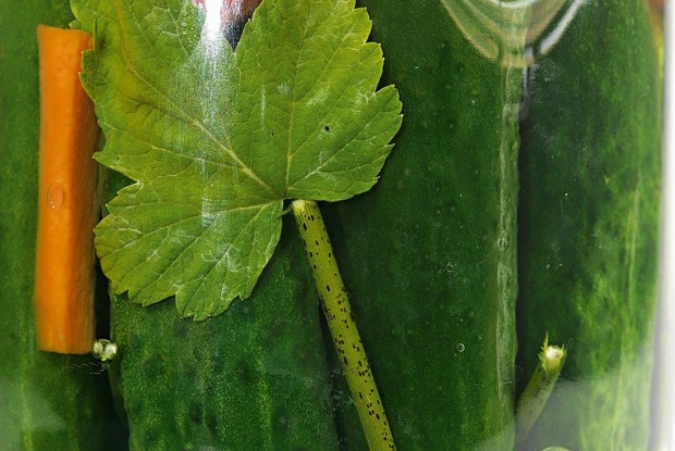 Маринованные огурцы