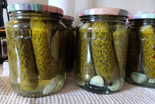 Маринованные огурцы на зиму