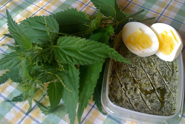 Масло крапивное