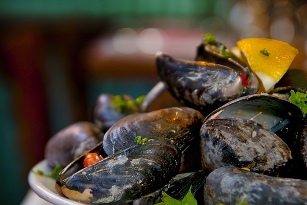 Мидии с сыром