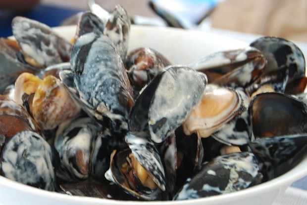 Мидии в сливочном соусе