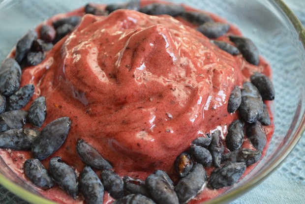 Мягкое банановое мороженое с ягодами жимолости