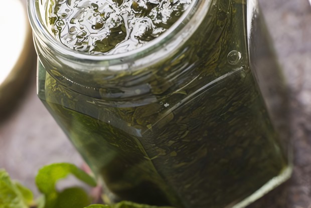 Мятный чатни