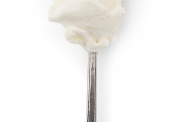 Молочное ванильное мороженое