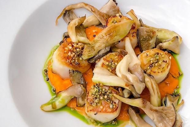 Морковное пюре с гребешками и вешенками