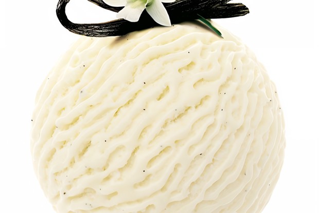 Мороженое с мадагаскарской ванилью