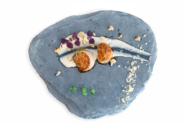 Морские гребешки с пюре из цветной капусты