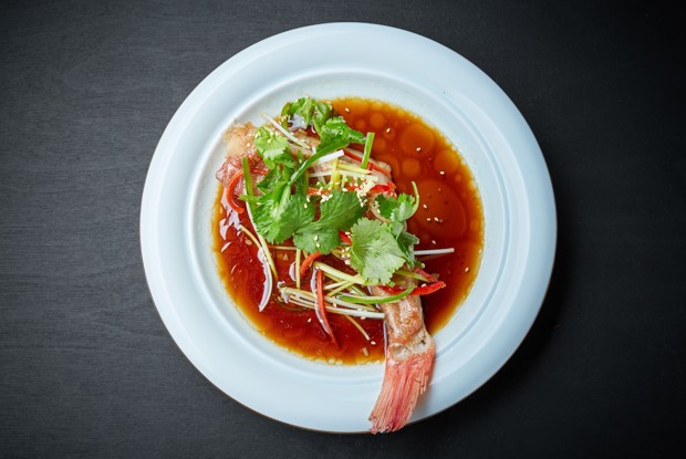 Морской окунь с имбирем и соевым соусом