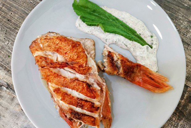 Морской окунь