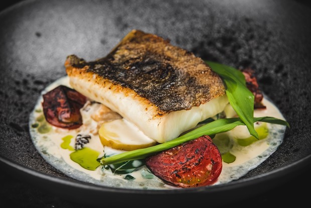 Мурманская треска с топленой сметаной