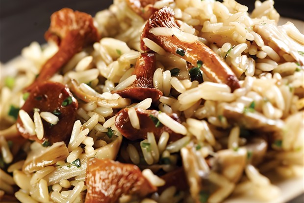 Начинка из сушеных грибов с рисом