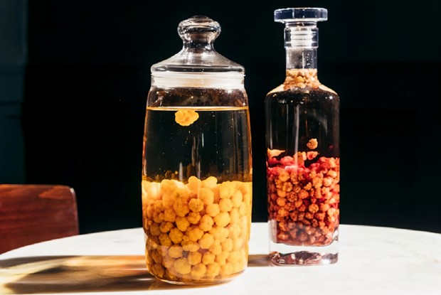 Настойка из карельских ягод