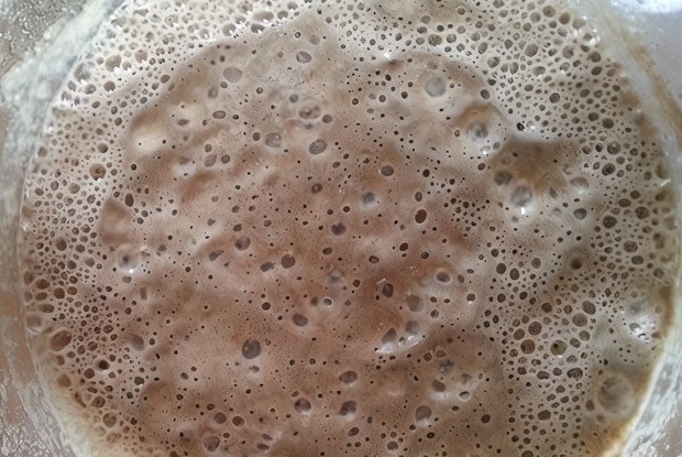 Натуральная ржаная закваска