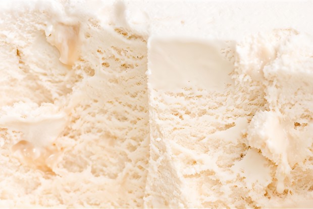 Низкокаллорийное ванильное мороженое