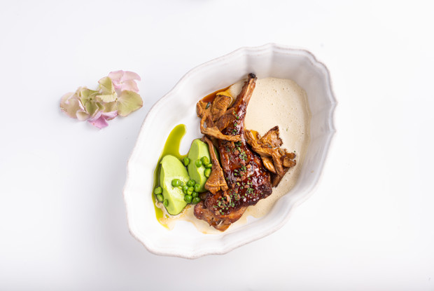 Ножка кролика, крем из зеленого горошка и соус из фуа-гра