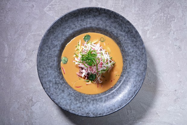 Окрошка с копченой уткой