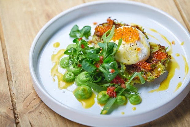 Оладьи из кабачков с красной икрой