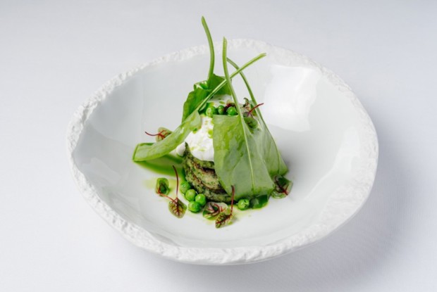 Оладьи из зеленых овощей с кокосовым кремом