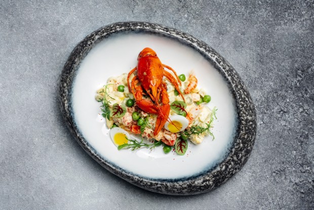 Оливье с раковыми шейками и домашним майонезом