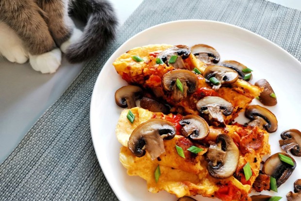 Омлет с грибами