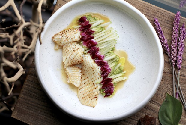 Опаленный кальмар с яблоком и маринованной хризантемой