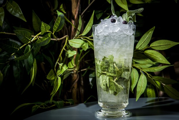 «Орегано физз»