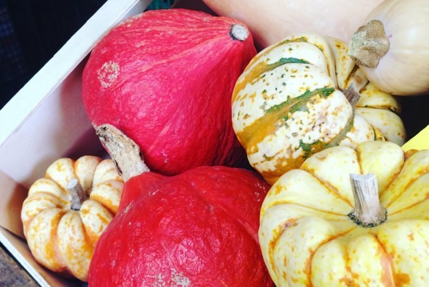 Осенний суп из тыквы с креветками и кокосовым молоком