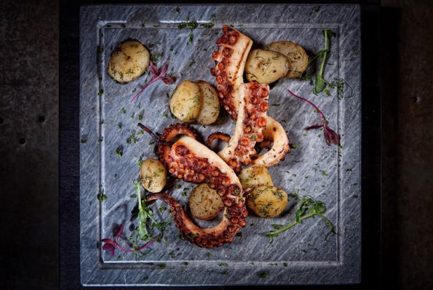 Осьминог на гриле с мини картофелем